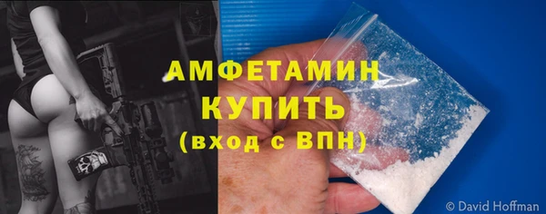PSILOCYBIN Богданович