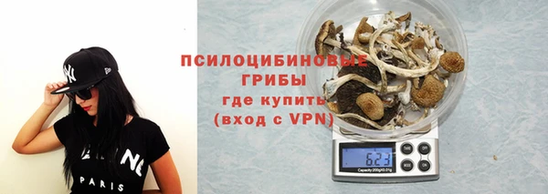 стаф Белокуриха