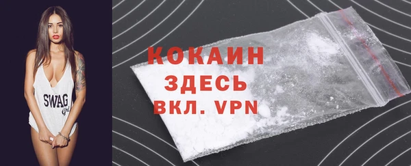 стаф Белокуриха