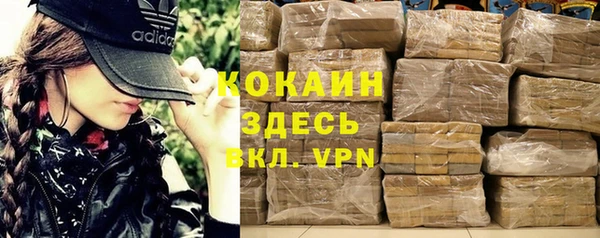 стаф Белокуриха