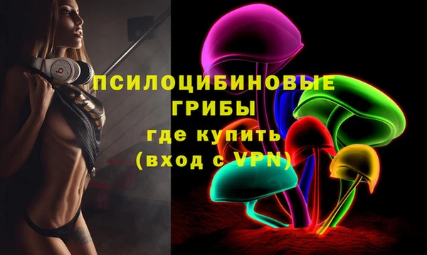 стаф Белокуриха