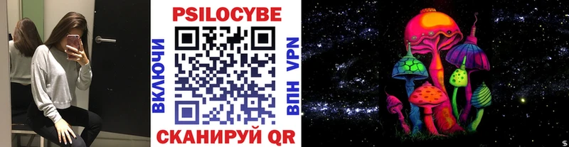 KRAKEN tor  Богданович  Псилоцибиновые грибы Psilocybe 
